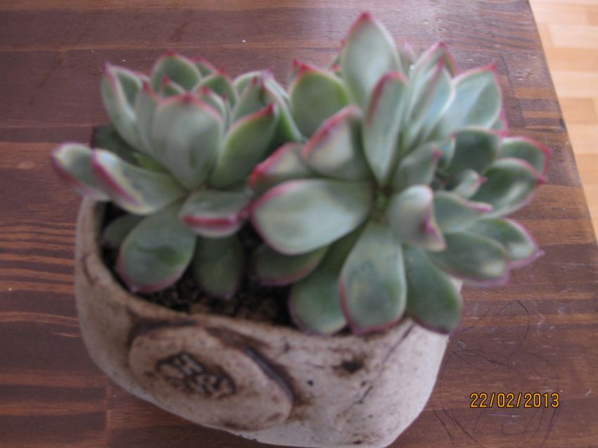 1번