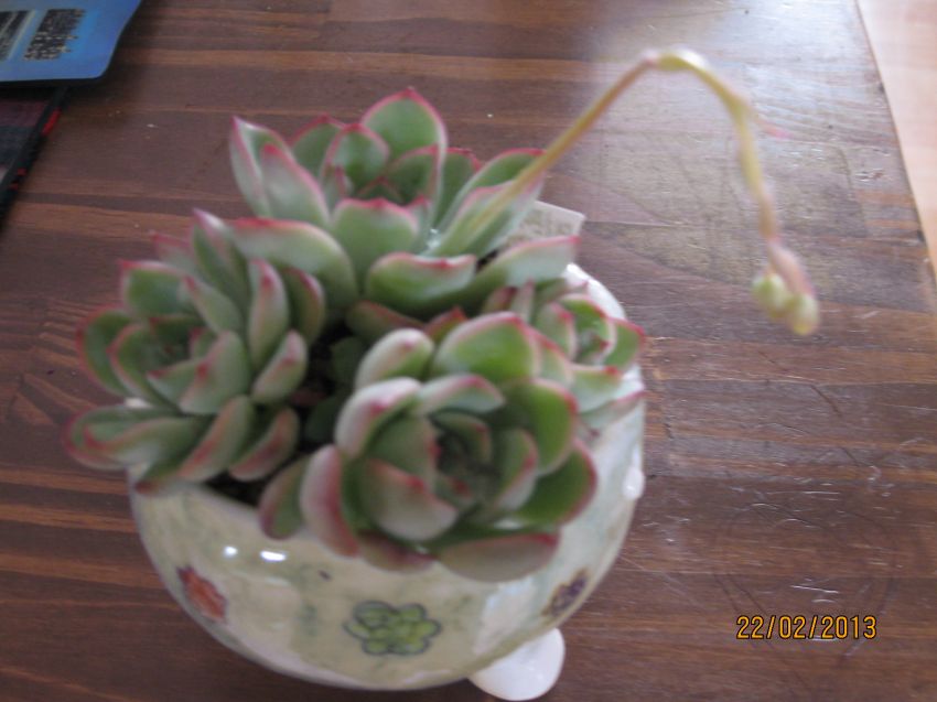 2번