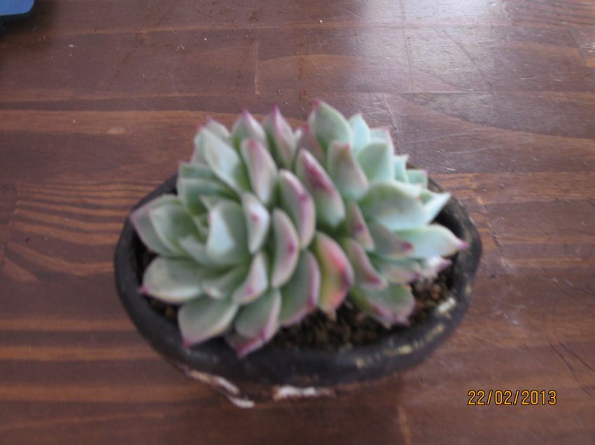 3번