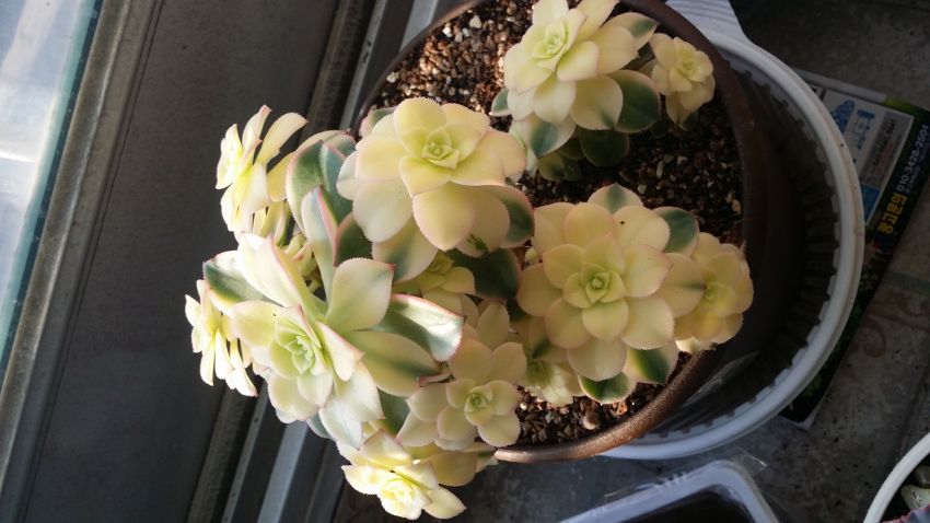 1.