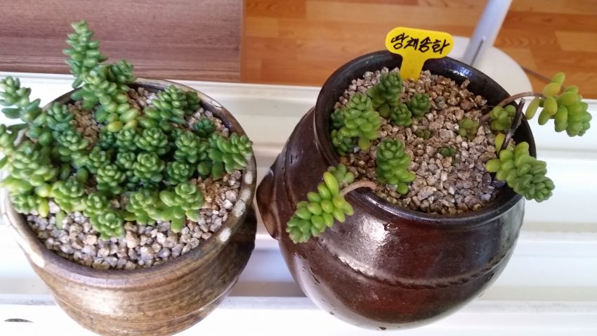 햇갈려서....