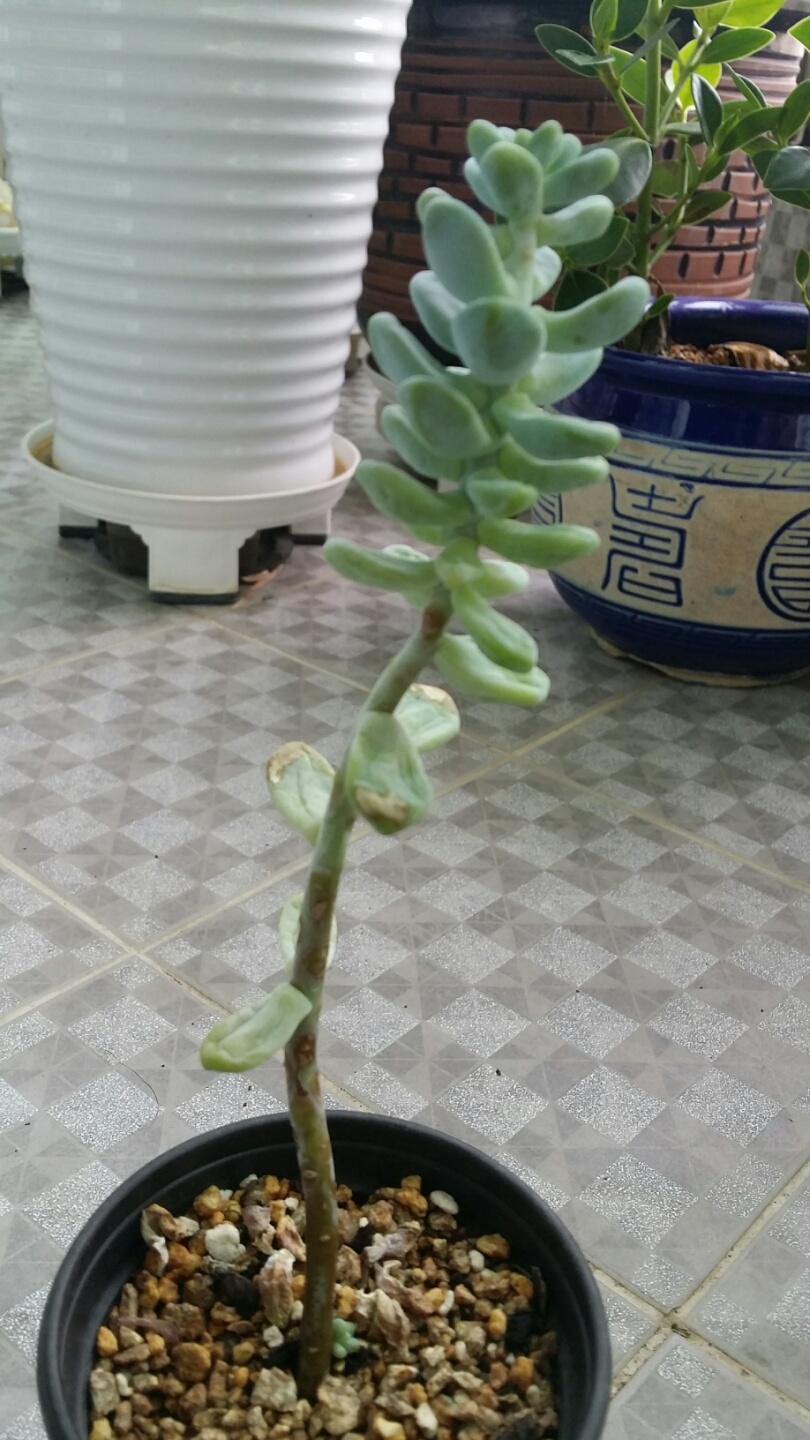 ---------------------------전체 모습입니다. -------------------------