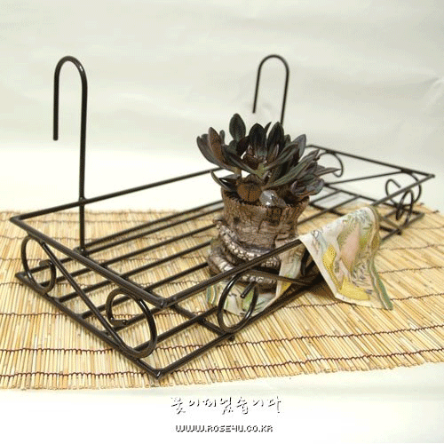 http://www.rose4u.kr/@/data/item/1161741634/1232.gif