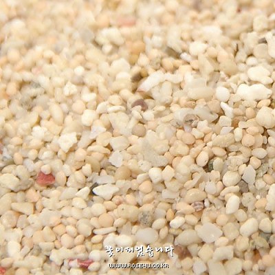 유익한 산호모래(Coral Sand)