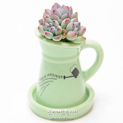 Spring-43(小)